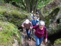 2014-06-05 15-36-04 Foret de Fontainebleau DLe